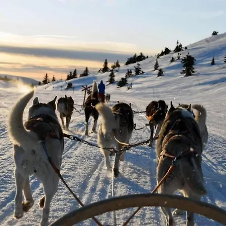 Apartment Groups & Family Getaway I Free Parking Tromso